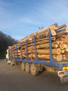 BODNAR TRANSPORT IMPEX SRL